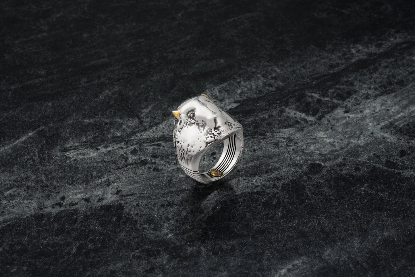 HAYDEN RING